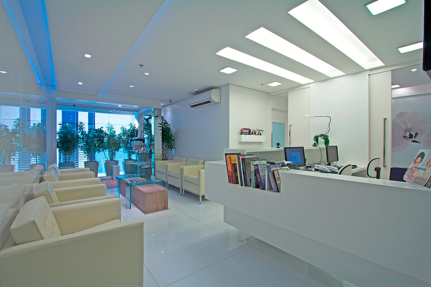 Recepção da clínica (imagem fictícia)